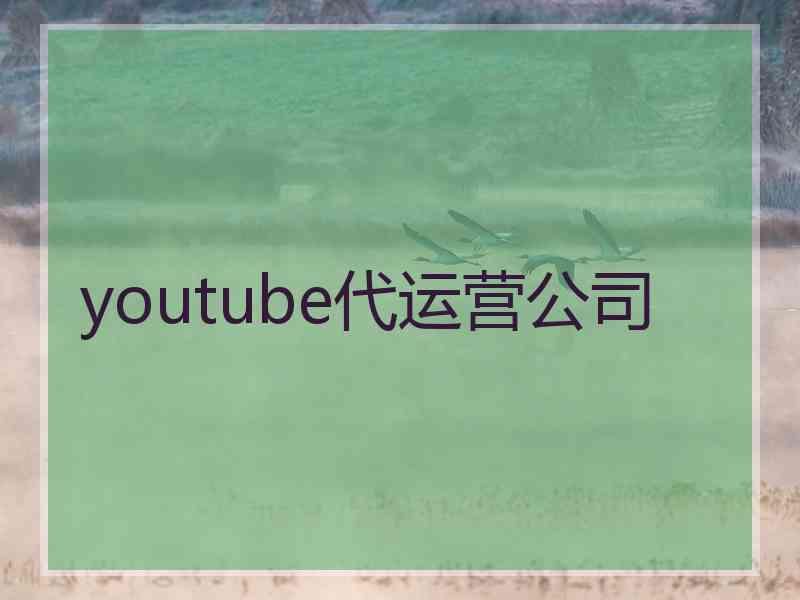 youtube代运营公司