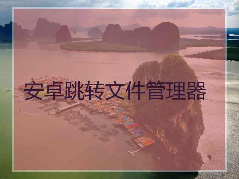 安卓跳转文件管理器