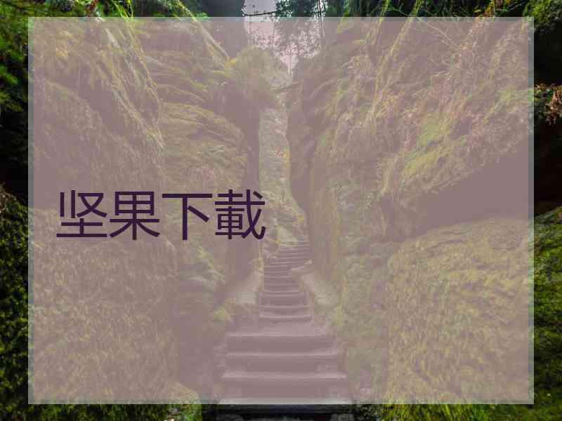 坚果下載