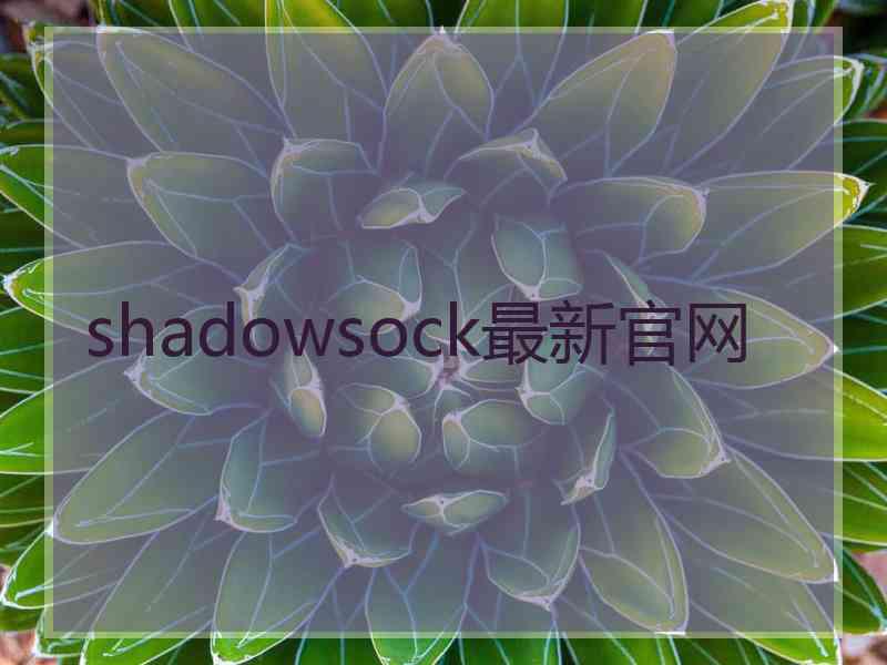 shadowsock最新官网