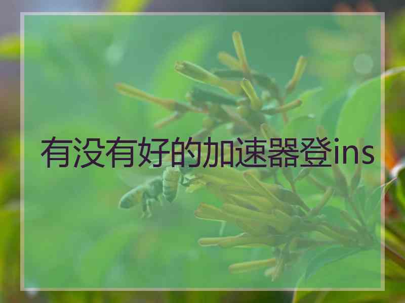 有没有好的加速器登ins
