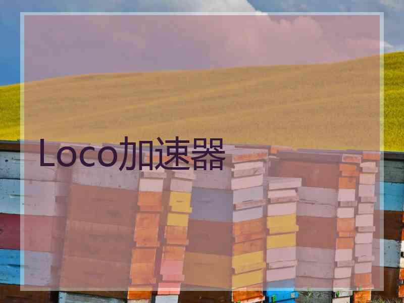 Loco加速器