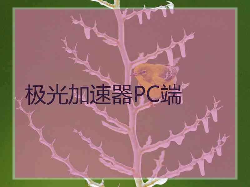 极光加速器PC端