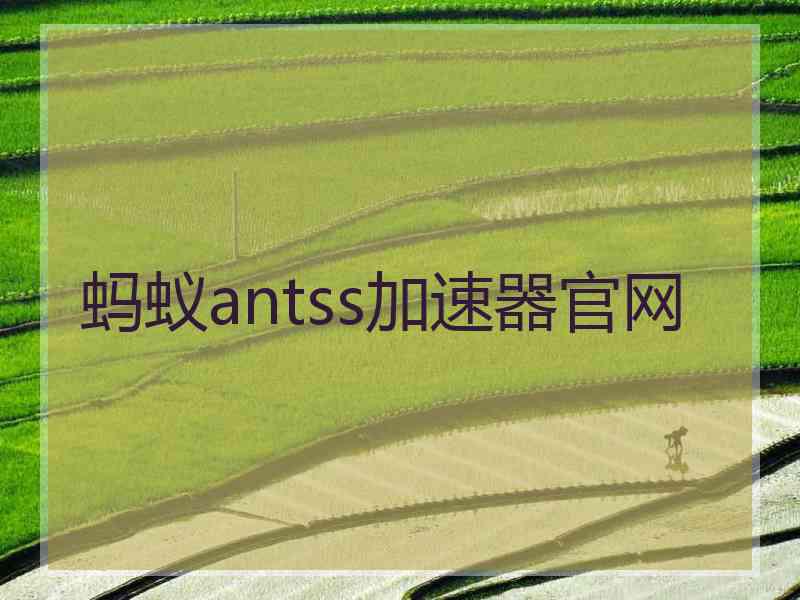 蚂蚁antss加速器官网