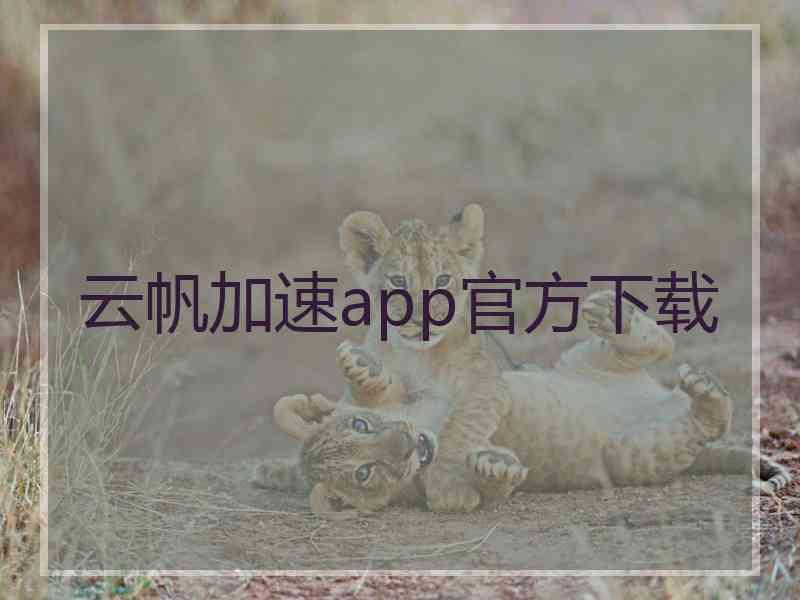 云帆加速app官方下载