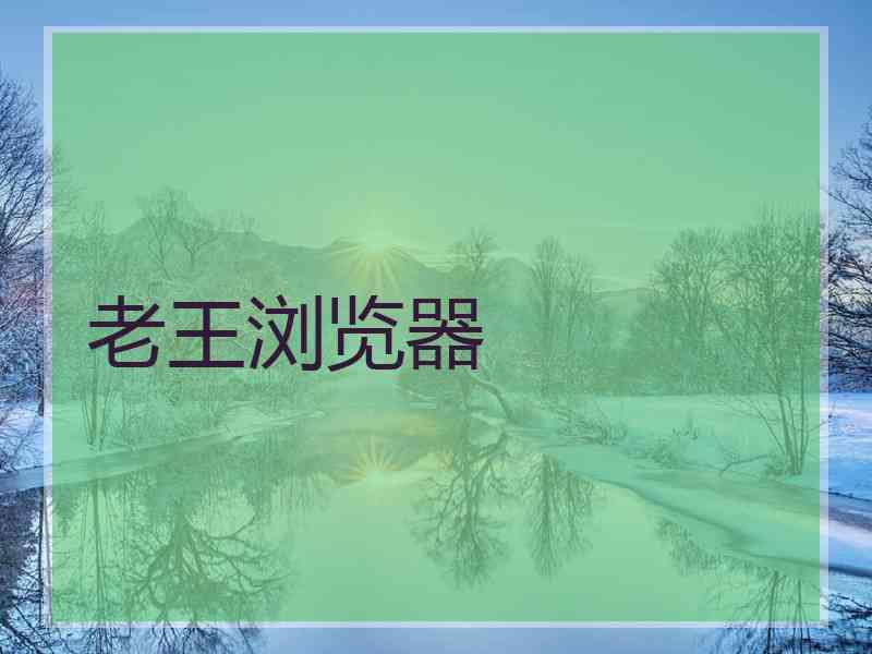 老王浏览器
