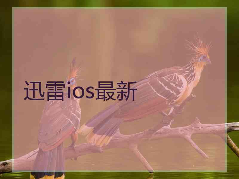 迅雷ios最新