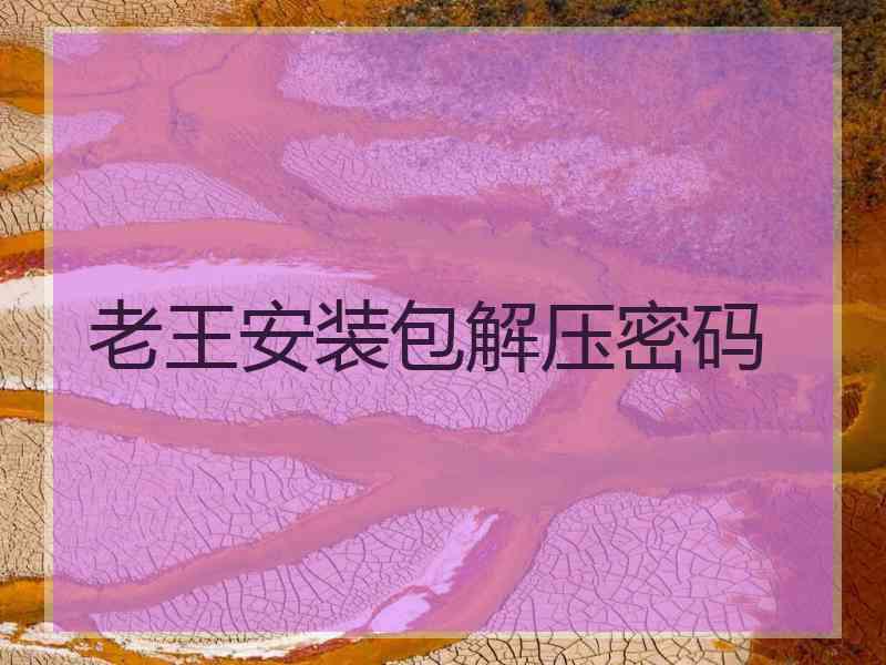 老王安装包解压密码