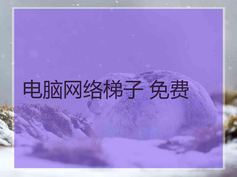 电脑网络梯子 免费