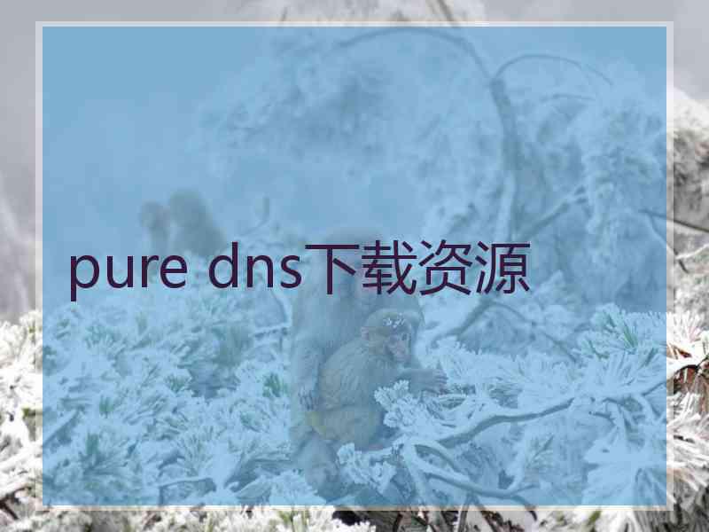 pure dns下载资源