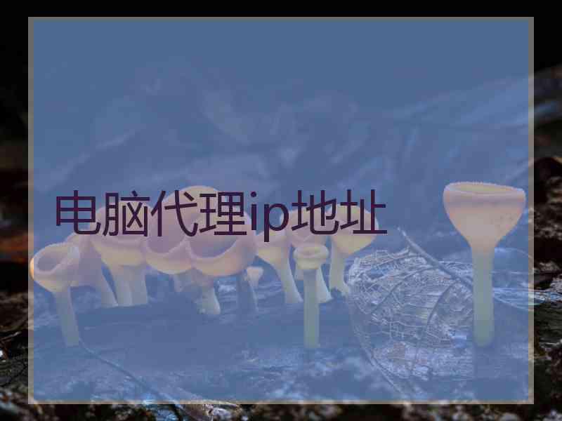 电脑代理ip地址