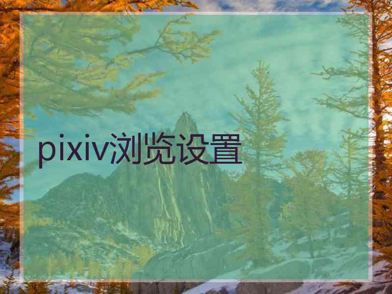 pixiv浏览设置