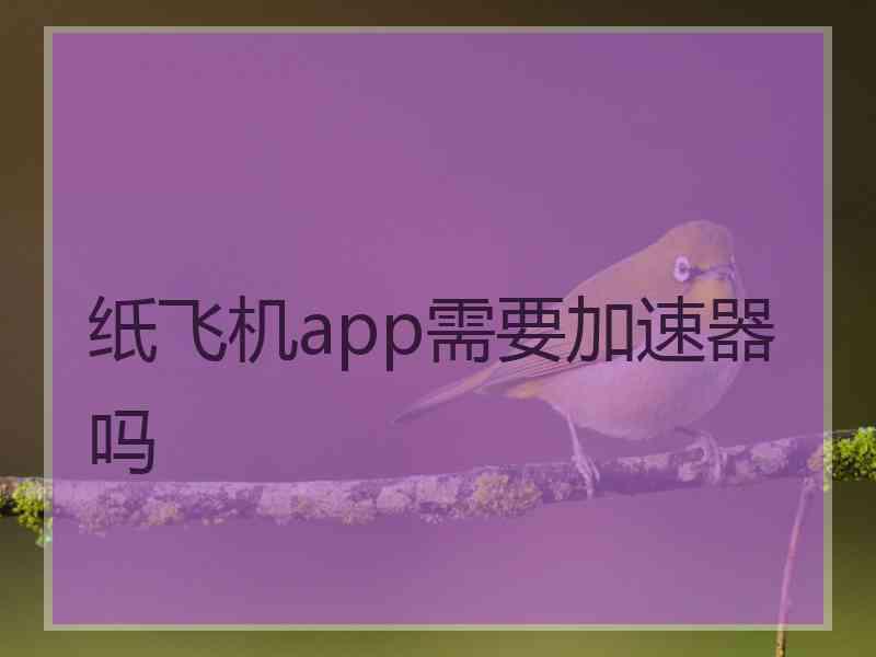 纸飞机app需要加速器吗