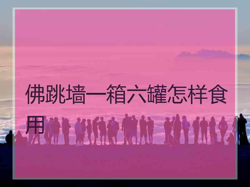 佛跳墙一箱六罐怎样食用