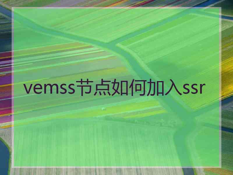vemss节点如何加入ssr