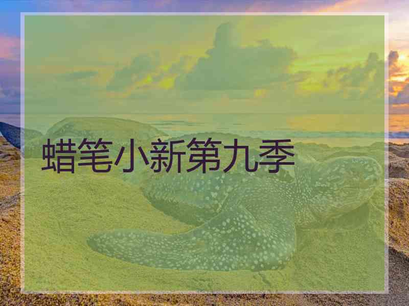 蜡笔小新第九季