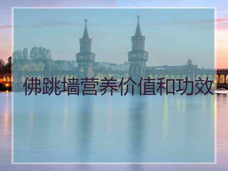 佛跳墙营养价值和功效