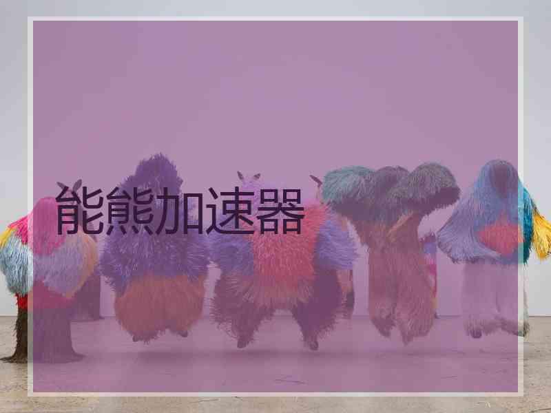 能熊加速器