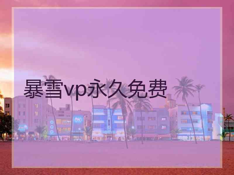 暴雪vp永久免费