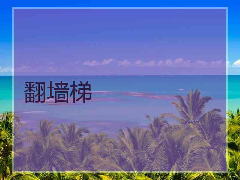 翻墙梯