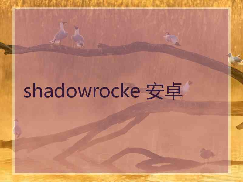 shadowrocke 安卓