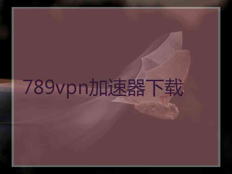 789vpn加速器下载