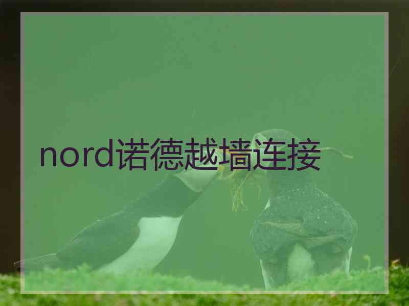 nord诺德越墙连接