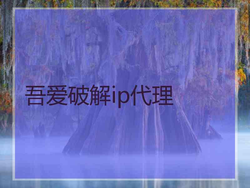 吾爱破解ip代理