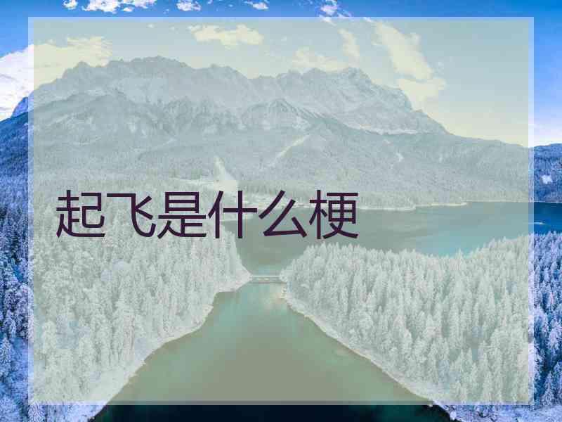 起飞是什么梗
