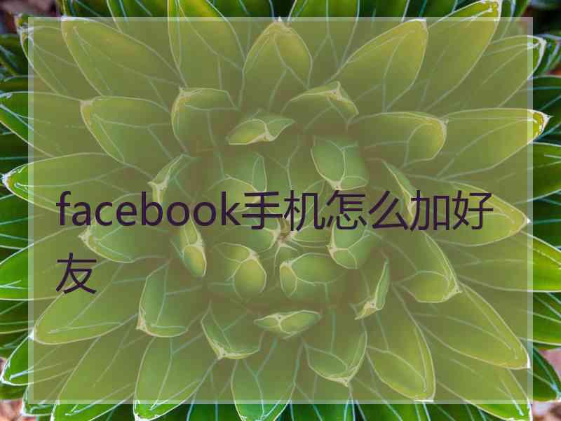 facebook手机怎么加好友