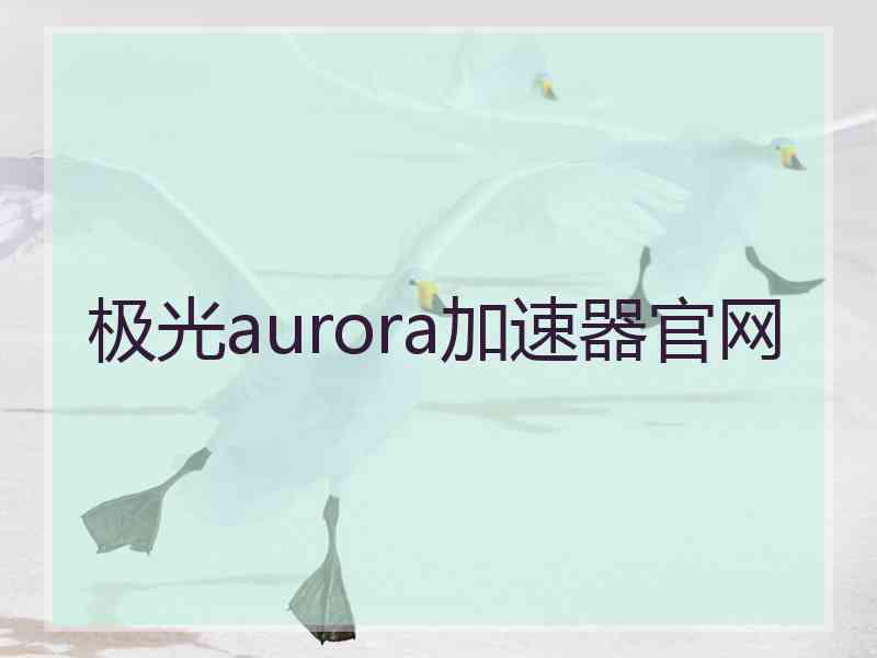 极光aurora加速器官网
