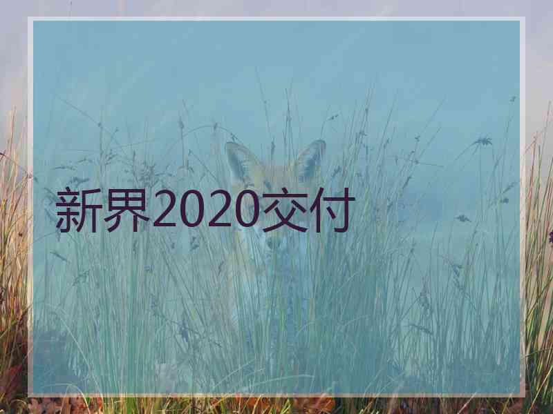 新界2020交付