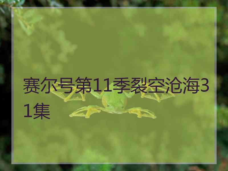 赛尔号第11季裂空沧海31集