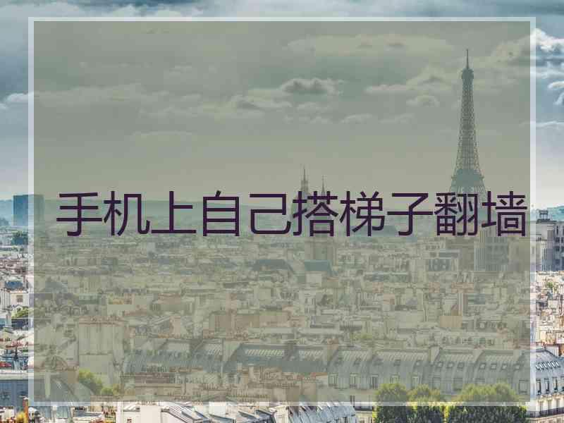 手机上自己搭梯子翻墙