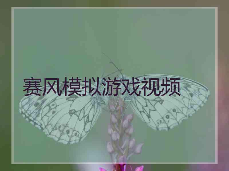 赛风模拟游戏视频