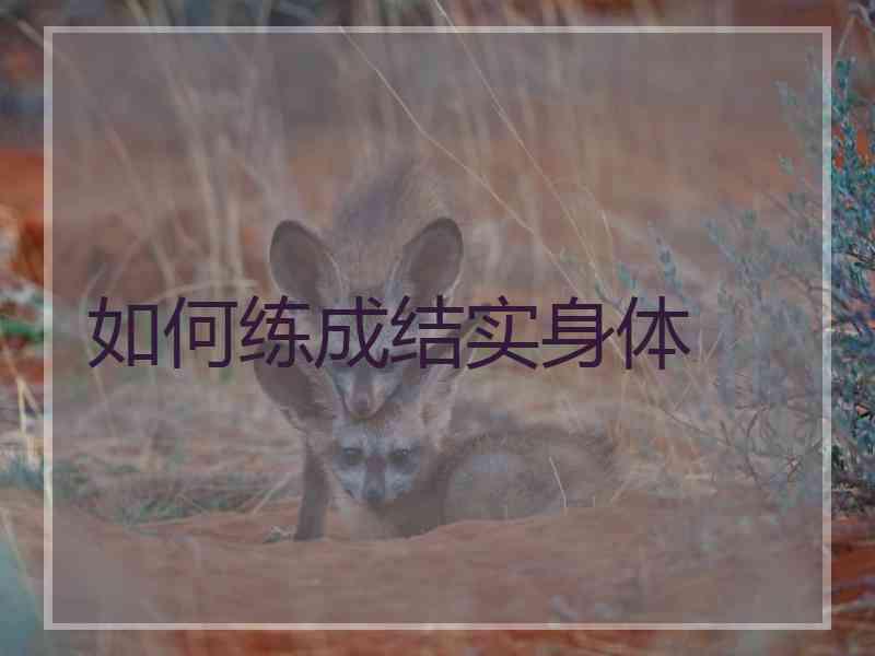 如何练成结实身体