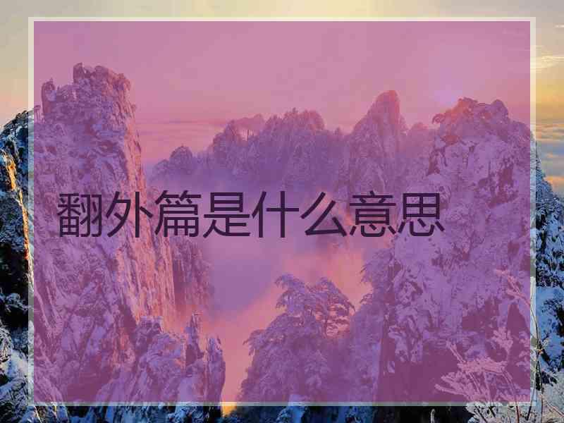翻外篇是什么意思