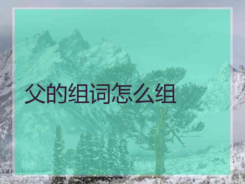 父的组词怎么组