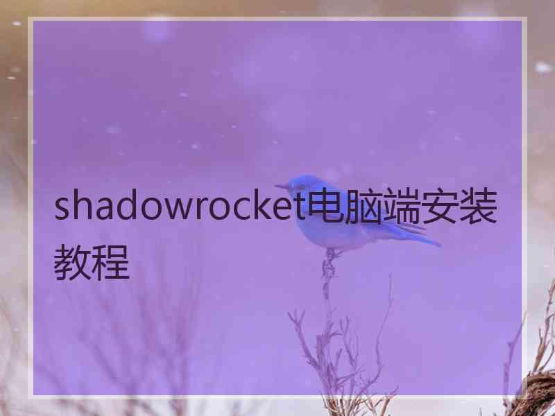shadowrocket电脑端安装教程