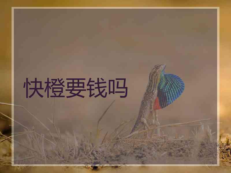 快橙要钱吗
