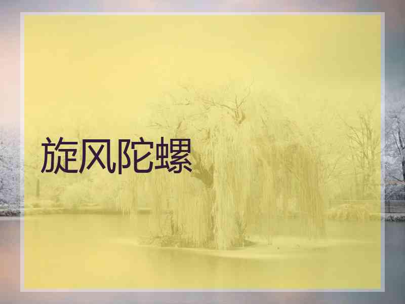 旋风陀螺