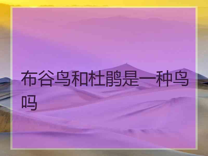 布谷鸟和杜鹃是一种鸟吗