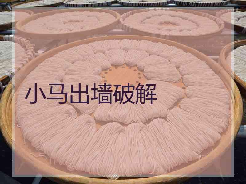 小马出墙破解