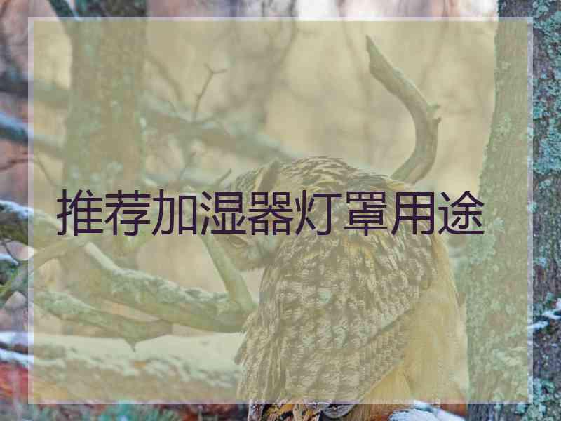 推荐加湿器灯罩用途