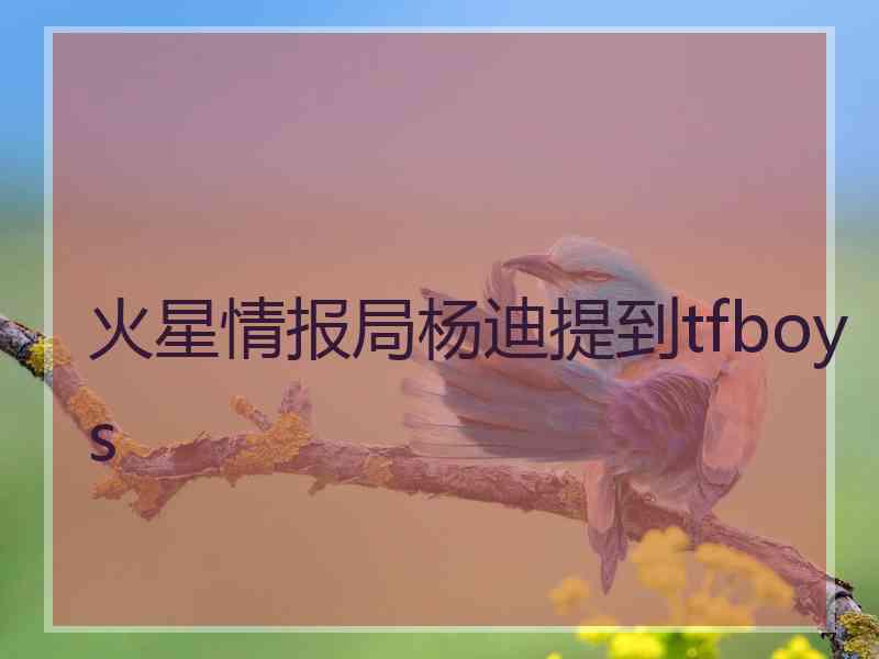 火星情报局杨迪提到tfboys
