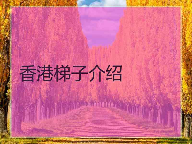 香港梯子介绍