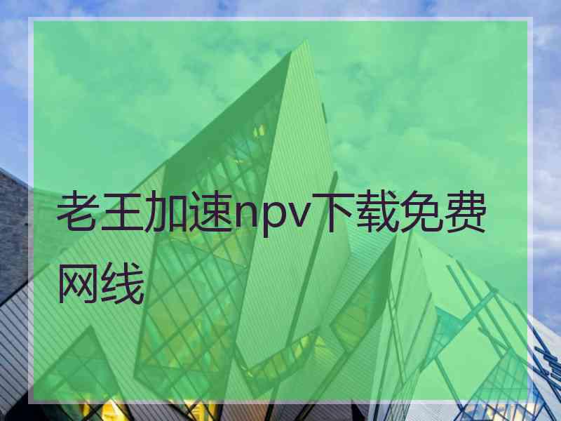 老王加速npv下载免费网线