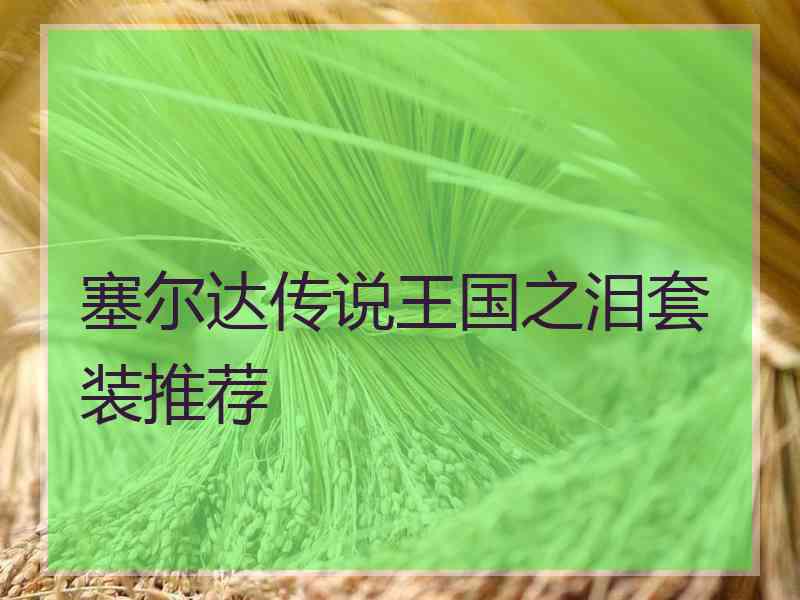 塞尔达传说王国之泪套装推荐
