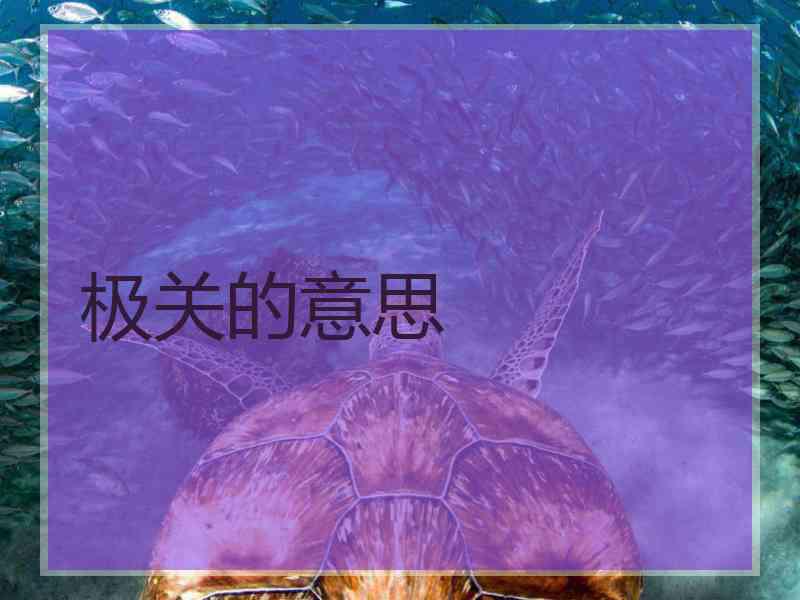 极关的意思