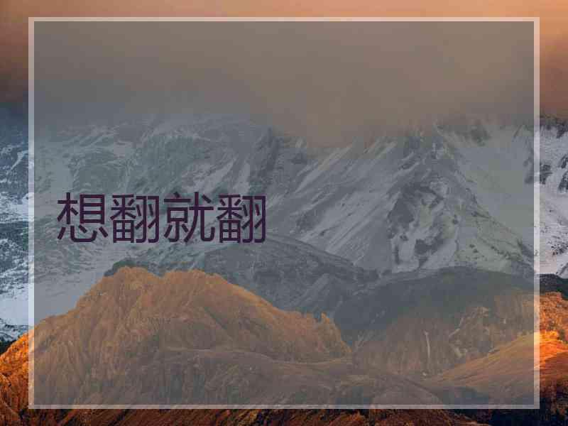 想翻就翻